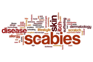 what causes scabies