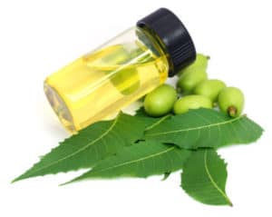 Read more about the article HOW TO USE NEEM OIL FOR SCABIES