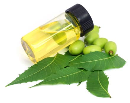 You are currently viewing HOW TO USE NEEM OIL FOR SCABIES